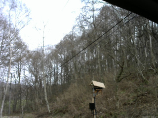 長野県菅平高原 ゆたか山荘 温度計 2026/04/17 15:00