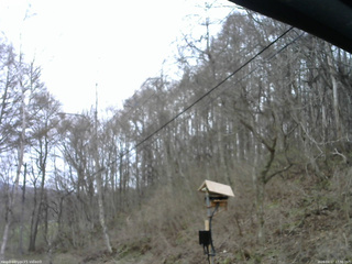 長野県菅平高原 ゆたか山荘 温度計 2026/04/17 17:30