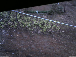 長野県菅平高原 ゆたか山荘 駐車場 2026/04/17 05:00