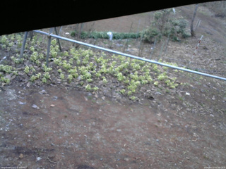 長野県菅平高原 ゆたか山荘 駐車場 2026/04/17 05:30