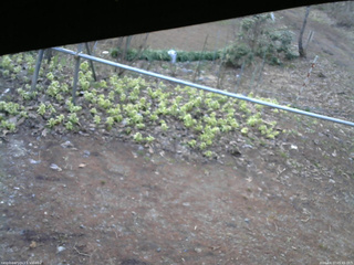 長野県菅平高原 ゆたか山荘 駐車場 2026/04/17 05:45