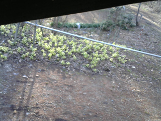 長野県菅平高原 ゆたか山荘 駐車場 2026/04/17 06:00