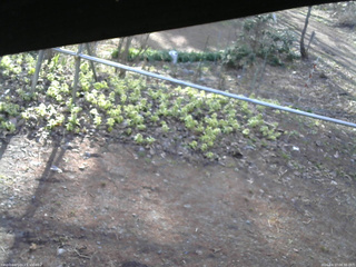 長野県菅平高原 ゆたか山荘 駐車場 2026/04/17 06:30