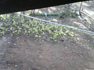 長野県菅平高原 ゆたか山荘 駐車場 2026/04/17 06:45