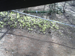 長野県菅平高原 ゆたか山荘 駐車場 2026/04/17 07:30