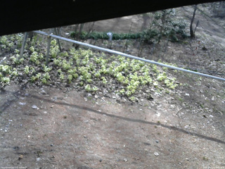 長野県菅平高原 ゆたか山荘 駐車場 2026/04/17 07:45