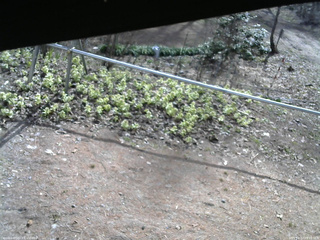 長野県菅平高原 ゆたか山荘 駐車場 2026/04/17 08:15