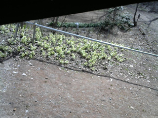 長野県菅平高原 ゆたか山荘 駐車場 2026/04/17 09:00
