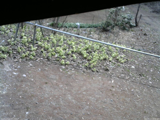 長野県菅平高原 ゆたか山荘 駐車場 2026/04/17 09:45
