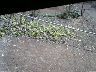 長野県菅平高原 ゆたか山荘 駐車場 2026/04/17 10:00