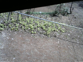 長野県菅平高原 ゆたか山荘 駐車場 2026/04/17 10:15