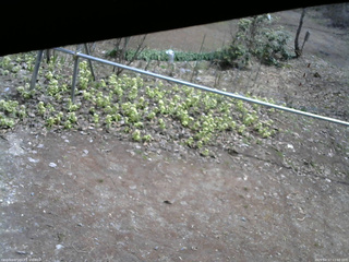 長野県菅平高原 ゆたか山荘 駐車場 2026/04/17 11:00