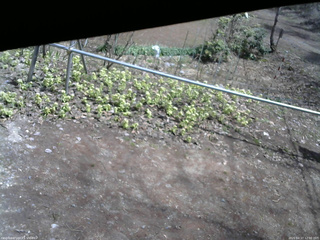 長野県菅平高原 ゆたか山荘 駐車場 2026/04/17 12:00