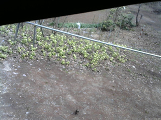 長野県菅平高原 ゆたか山荘 駐車場 2026/04/17 12:15