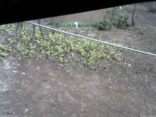長野県菅平高原 ゆたか山荘 駐車場 2026/04/17 12:30