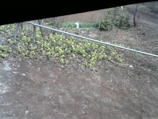 長野県菅平高原 ゆたか山荘 駐車場 2026/04/17 13:00