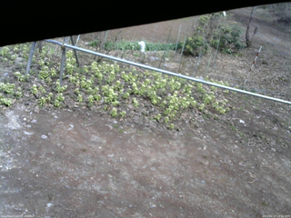 長野県菅平高原 ゆたか山荘 駐車場 2026/04/17 13:15