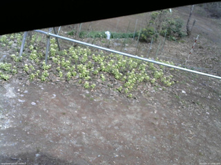 長野県菅平高原 ゆたか山荘 駐車場 2026/04/17 14:00