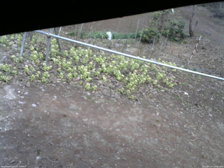 長野県菅平高原 ゆたか山荘 駐車場 2026/04/17 14:45