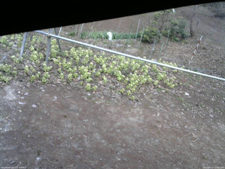 長野県菅平高原 ゆたか山荘 駐車場 2026/04/17 15:00