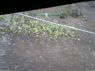 長野県菅平高原 ゆたか山荘 駐車場 2026/04/17 15:30