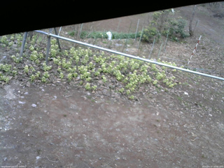 長野県菅平高原 ゆたか山荘 駐車場 2026/04/17 16:00