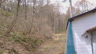 長野県菅平高原 ゆたか山荘 ゆたか山荘 2026/04/17 11:00