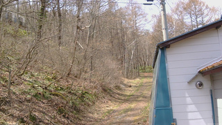 長野県菅平高原 ゆたか山荘 ゆたか山荘 2026/04/17 11:30