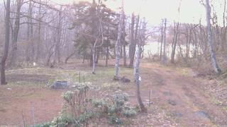 長野県菅平高原 ゆたか山荘 坂上 2026/04/17 05:45