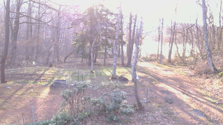 長野県菅平高原 ゆたか山荘 坂上 2026/04/17 06:00