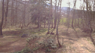 長野県菅平高原 ゆたか山荘 坂上 2026/04/17 08:00