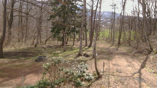 長野県菅平高原 ゆたか山荘 坂上 2026/04/17 08:30