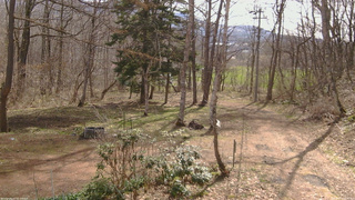 長野県菅平高原 ゆたか山荘 坂上 2026/04/17 08:45