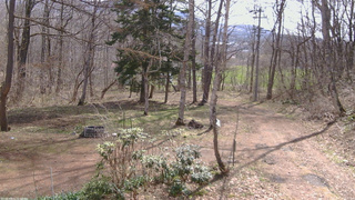 長野県菅平高原 ゆたか山荘 坂上 2026/04/17 09:15