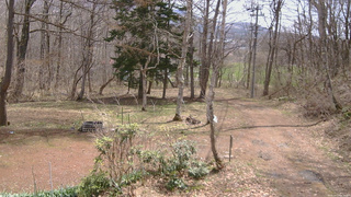 長野県菅平高原 ゆたか山荘 坂上 2026/04/17 10:30