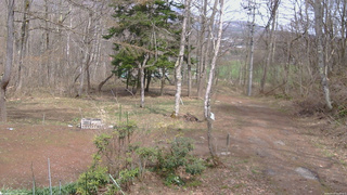 長野県菅平高原 ゆたか山荘 坂上 2026/04/17 13:45