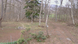 長野県菅平高原 ゆたか山荘 坂上 2026/04/17 15:15