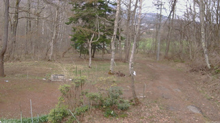 長野県菅平高原 ゆたか山荘 坂上 2026/04/17 16:00
