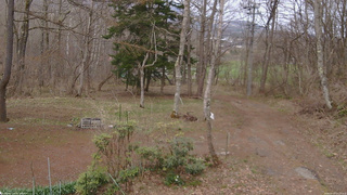 長野県菅平高原 ゆたか山荘 坂上 2026/04/17 17:15