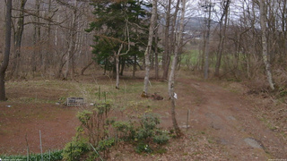 長野県菅平高原 ゆたか山荘 坂上 2026/04/17 17:45