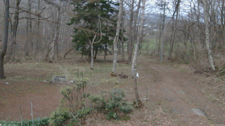 長野県菅平高原 ゆたか山荘 坂上 2026/04/17 18:30