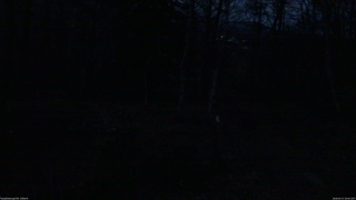 長野県菅平高原 ゆたか山荘 坂上 2026/04/17 18:45