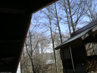 長野県菅平高原 ゆたか山荘 北側 2026/04/18 09:00