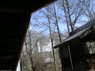 長野県菅平高原 ゆたか山荘 北側 2026/04/18 09:15