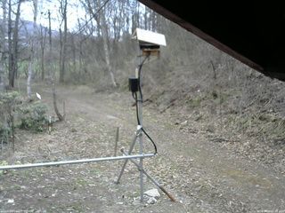長野県菅平高原 ゆたか山荘 南側 2026/04/18 11:45
