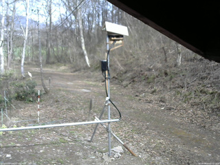 長野県菅平高原 ゆたか山荘 南側 2026/04/18 15:15