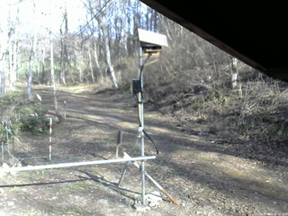 長野県菅平高原 ゆたか山荘 南側 2026/04/18 15:45