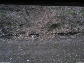 長野県菅平高原 ゆたか山荘 東側(坂下) 2026/04/18 05:00