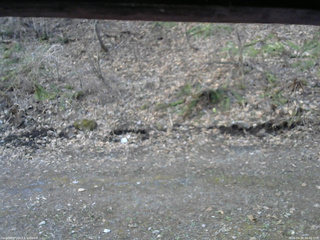 長野県菅平高原 ゆたか山荘 東側(坂下) 2026/04/18 06:00