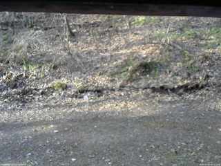 長野県菅平高原 ゆたか山荘 東側(坂下) 2026/04/18 06:15